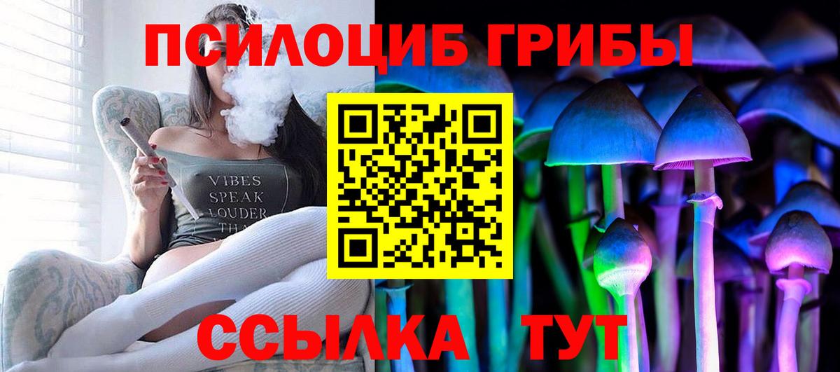Череповец  что такое наркотик  Псилоцибиновые грибы мицелий  Вход с VPN  Галлюциногенные грибы MAGIC MUSHROOMS 